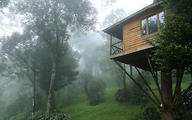 Nature Zone Jungle Resort- Experience The Wilderness & Adventure